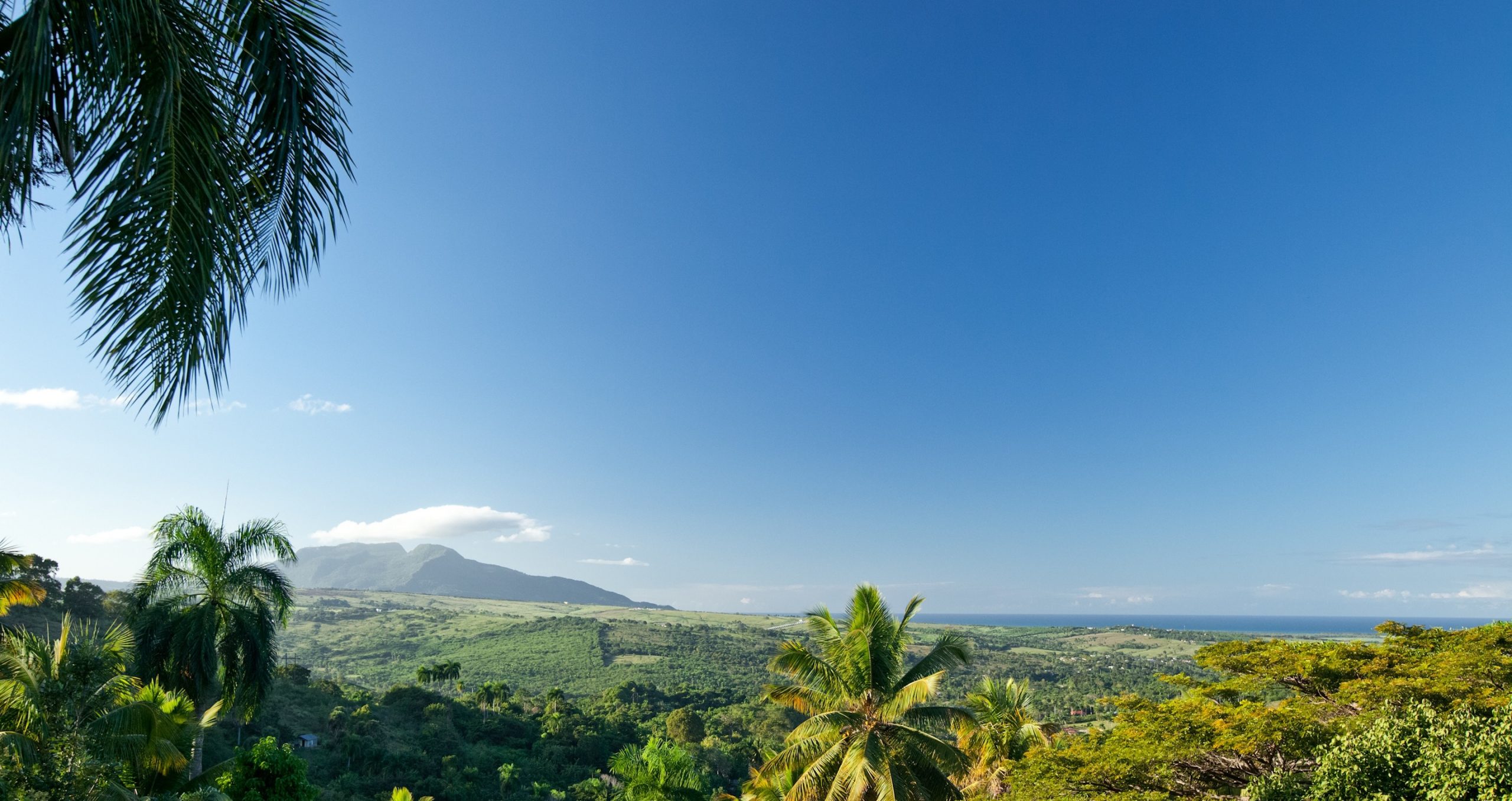 La vista desde Tubagua